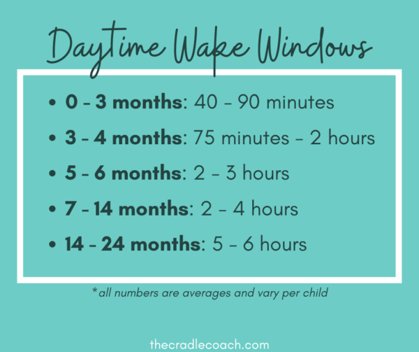 Wake Windows vs. Set Schedules Pediatric Sleep Coach The Cradle Coach